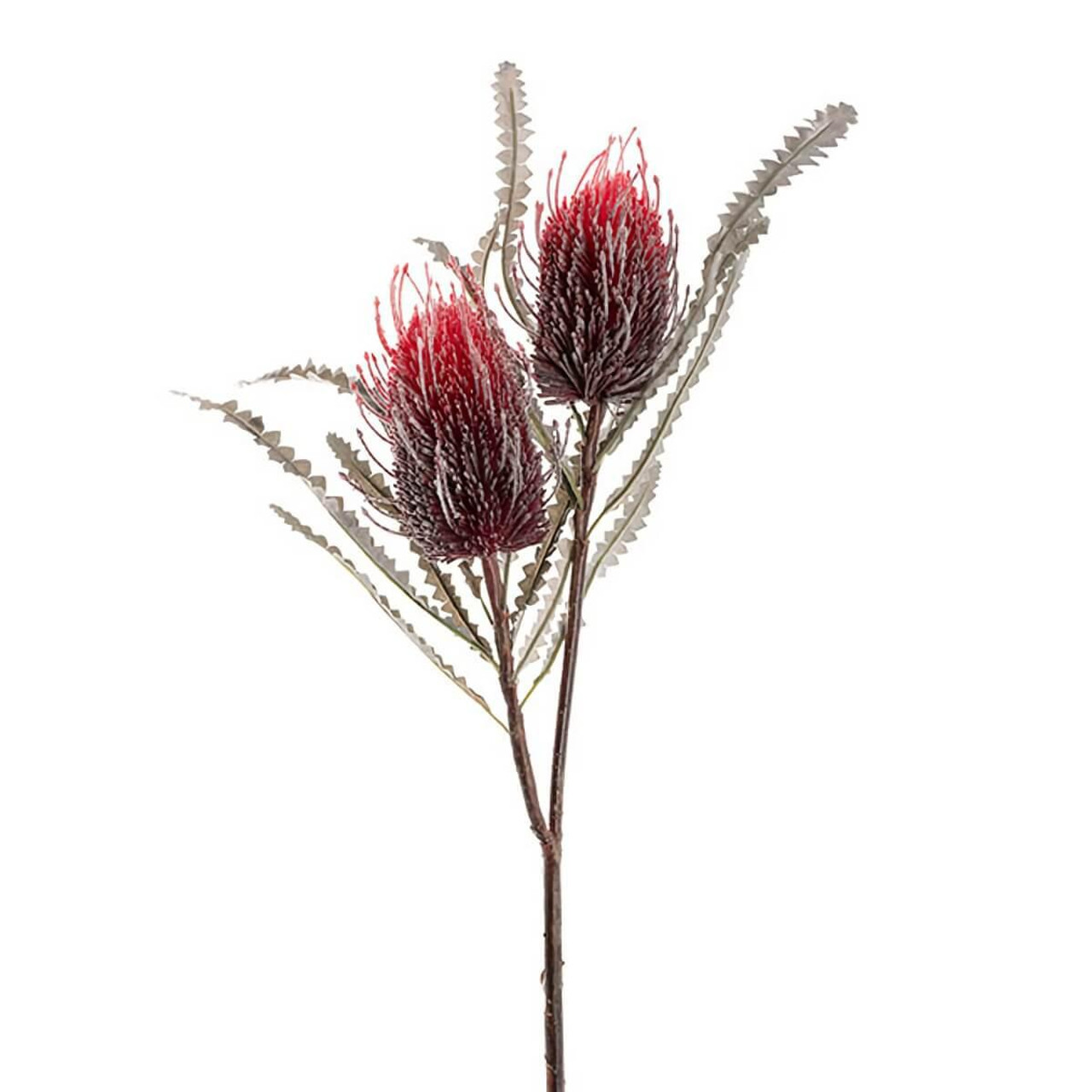 Christmas Elves Red Australian Banksia 2 Head Spray 