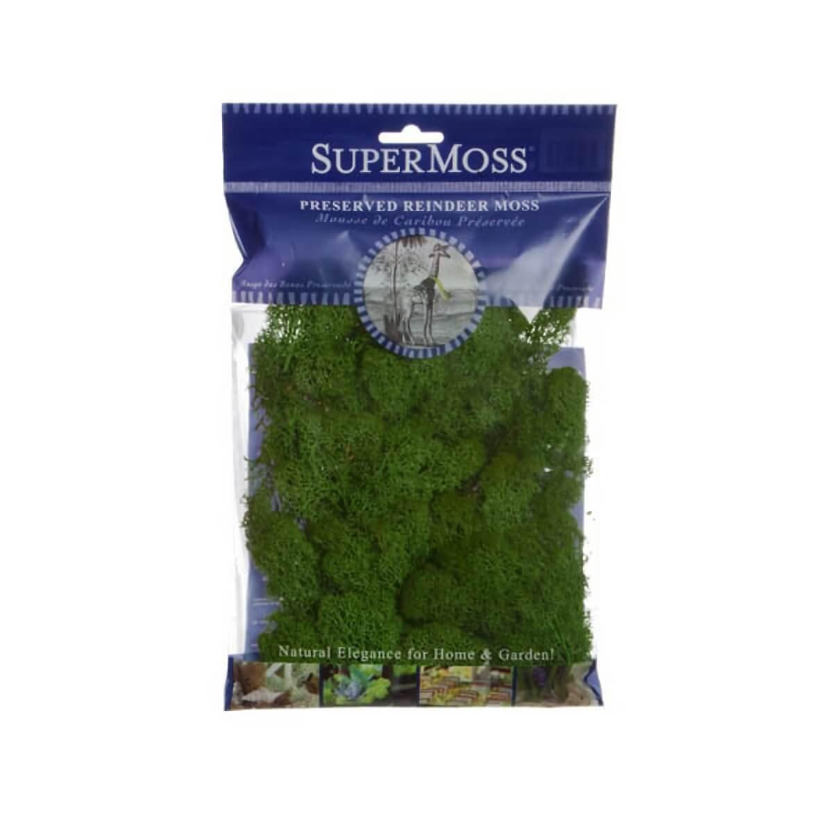 Christmas Elves Forest Green Reindeer Moss Bag - 55gm 