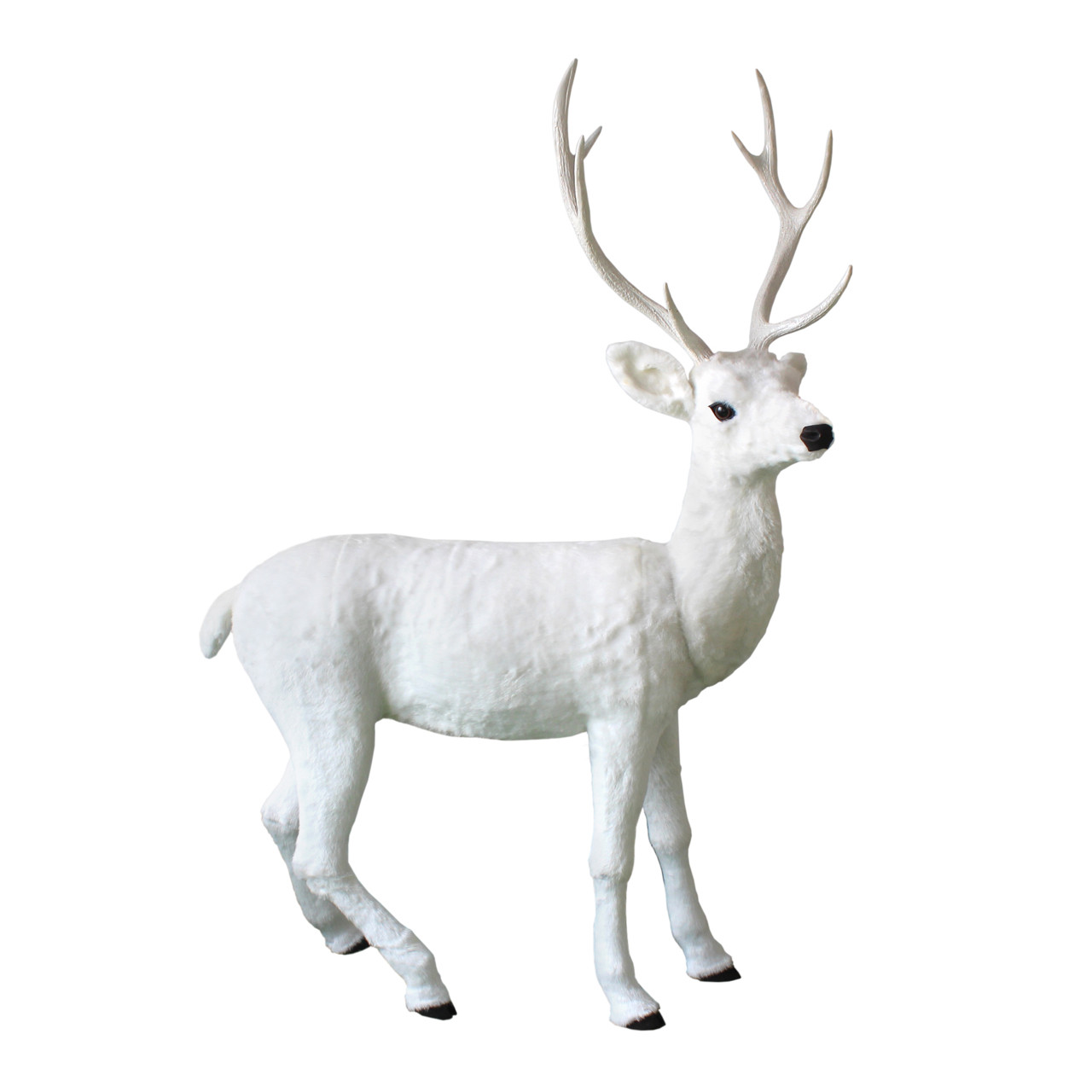 Blanche the Large White Reindeer