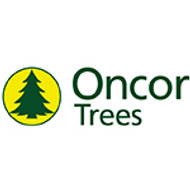 Oncor Christmas Trees