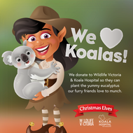 We love koalas and they need our help. Help us donate to our favourite native wildlife charities.