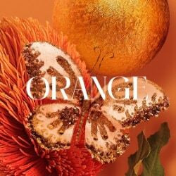 Orange Christmas Decorations - Christmas Elves