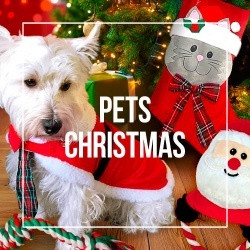Pet Christmas Toys and Costumes