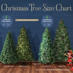 Christmas Tree Sizes 5ft to 12ft
