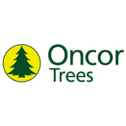 Oncor Christmas Trees