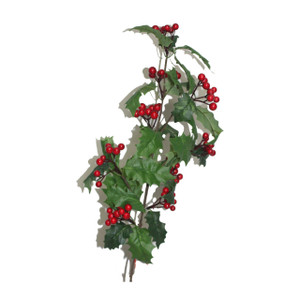 The story behind Christmas Holly