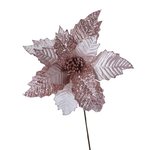 Poinsettia Baby Pink Poinsettia Baby Pink