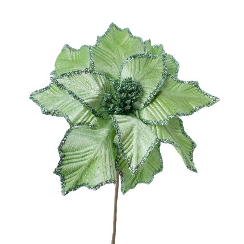 Poinsettia With Glittered Edge Frozen Green Poinsettia With Glittered Edge Frozen Green