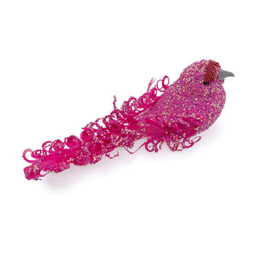 Pink Bird Pink Bird