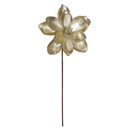 Champagne Magnolia With Stem Champagne Magnolia With Stem