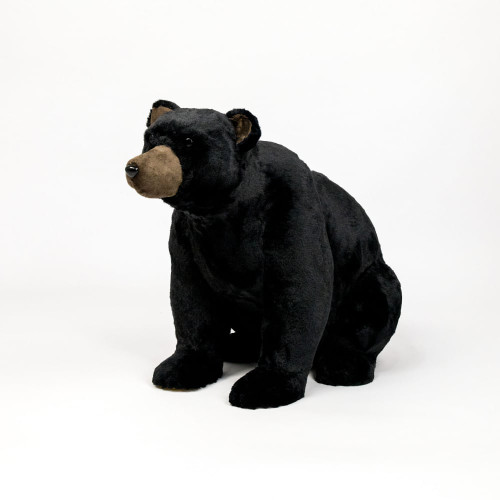 Realistic Black Bear Sitting