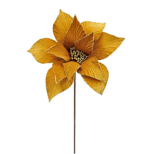 Ambre Ochre Poinsettia Ambre Ochre Poinsettia