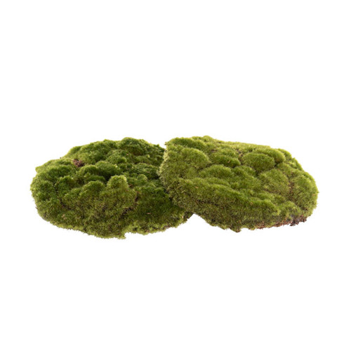 12 Pack Green Mossy Rocks, Assorted Sizes