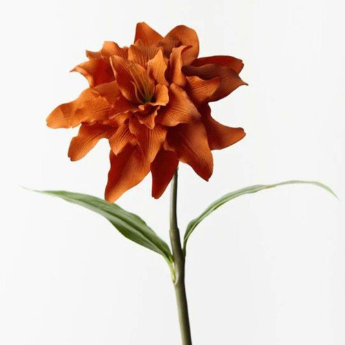 Christmas Elves Orange Rust Roselily - 62cm 