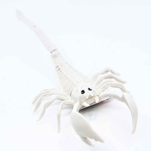 Witches of Halloween Halloween Scorpion Skeleton - 32cm Witches of Halloween Halloween Scorpion Skeleton - 32cm