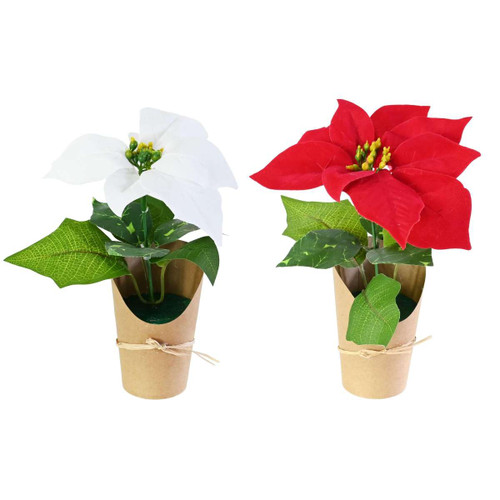 Mini Flocked Poinsettia in Kraft Paper Pot - Red or White
