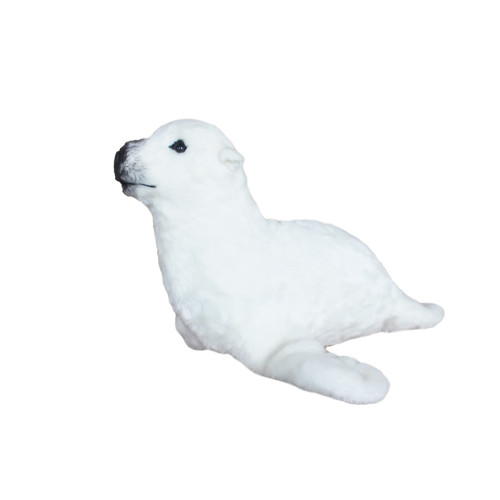 Vicky's Little Sea Lion Vicky's Little Sea Lion
