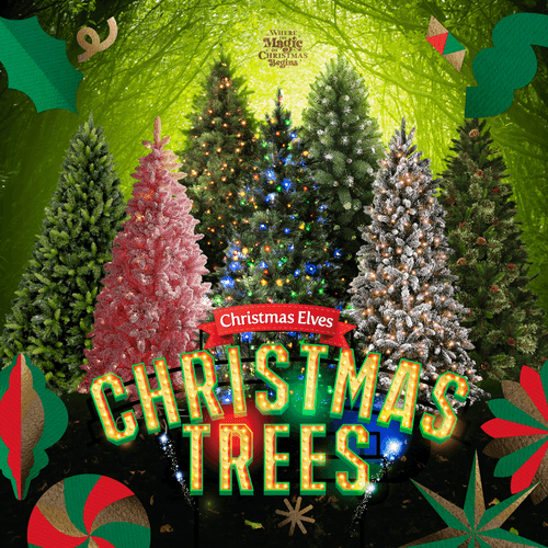 How to Find Your Perfect Christmas Tree: a Comprehensive Guide