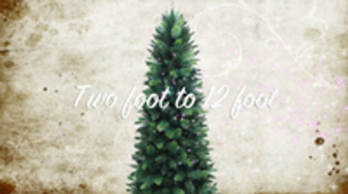 Our new Christmas Tree Jingle