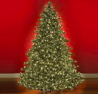 How to make your Christmas Tree really LIGHT UP!