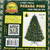 Oncor Mixed Green Parana Pine Christmas Tree