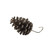 Brown Pine Cone 