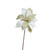 Poinsettia Ivory Flower Stem