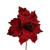 Poinsettia With Glittered Edge Deep Red