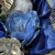 Festive Blue Magnolia Floristry Display
