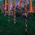 Festive Candy Cane LED Stakes – 58 cm, Plug-In, Connectable Set of 4