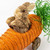 Easter Bunny in Carrot Car 