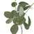 Green Eucalyptus Spray Decor

