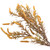 Gold Setaria Spray Decor