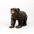 Large Life Like Brown Bear Walking