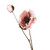 Light Pink Poppy Celeste Spray 