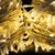1000 LED String Lights Warm White - Clear Wire 