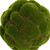 Artificial Moss Ball Green