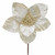 Ivory Poinsettia on Clip 