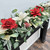 Tabletop Display Red Poinsettia