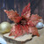 Copper Red Glittered Poinsettia Floristry Display