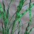 Green Glittered Grass Spray