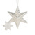 Scentsicles Silver Star Ornament With White Winter Fir Fragrance