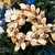 Gold Leaf Wreath 