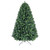  Texas Blue Spruce Hook Tree 