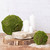 Artificial Moss Sphere – Evergreen Display