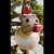 Christmas Elves Koala Christmas Tree Bauble - 10cm 