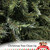 Carolina Christmas Tree Tips