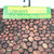 Christmas Elves Pebble Stone Mat (2 Styles) - 60cm 