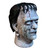 Witches of Halloween Universal Monsters - House of Frankenstein Mask 