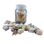 Decorative Seashell Jar - Coastal Nautical Decor